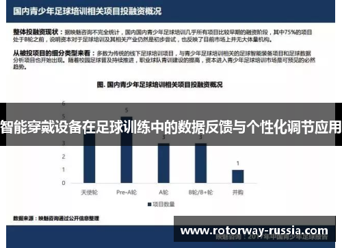 智能穿戴设备在足球训练中的数据反馈与个性化调节应用